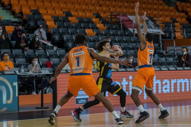 意引进摩纳 意引进摩纳